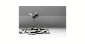 Plant sprouting from coins